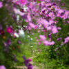 The tunnel of cosmos 