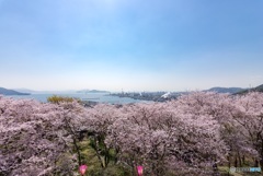 桜ファクトリー