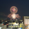 City of Flower