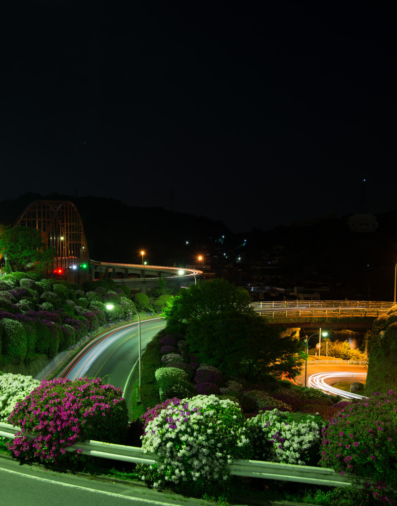 ツツジと光跡