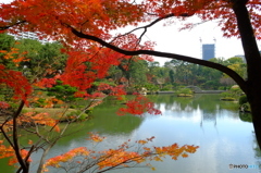 縮景園にて