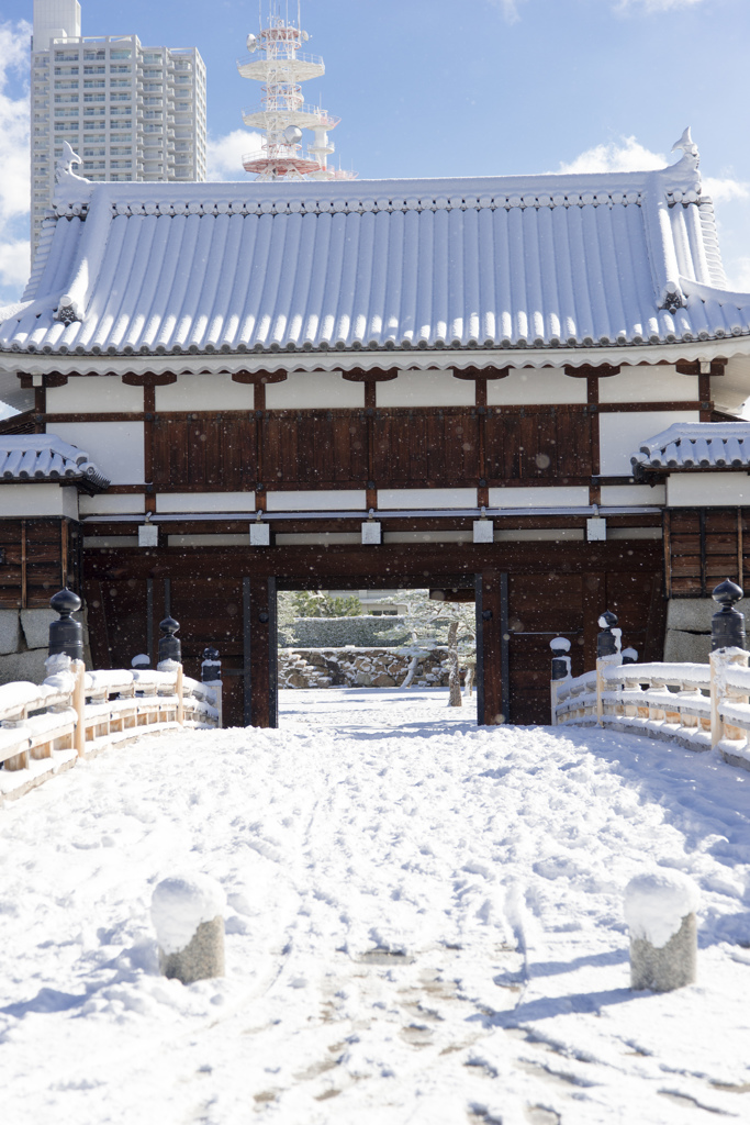 雪化粧
