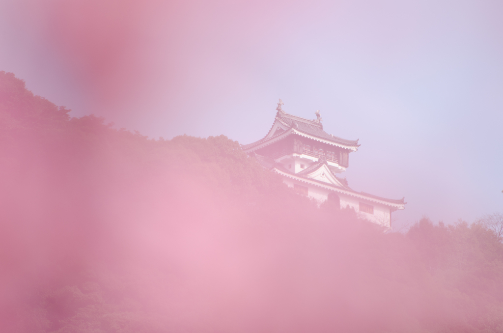 岩国城～春ver