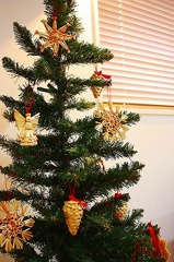 12-1312-12118
