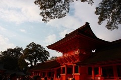 1-6IMG_6499