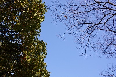 12-28IMG_6414