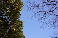 12-28IMG_6414