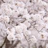 lovefavorite_429
