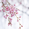 lovefavorite_418
