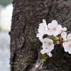 lovefavorite_476