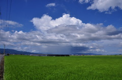 佐賀平野　雨柱