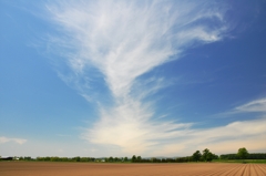 雲息