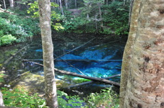 blue