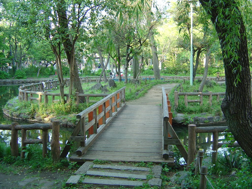 DSC00200