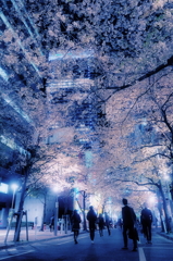 Cool Night