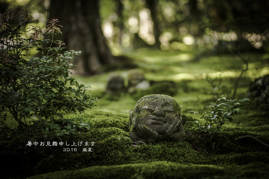 暑中お見舞申し上げます