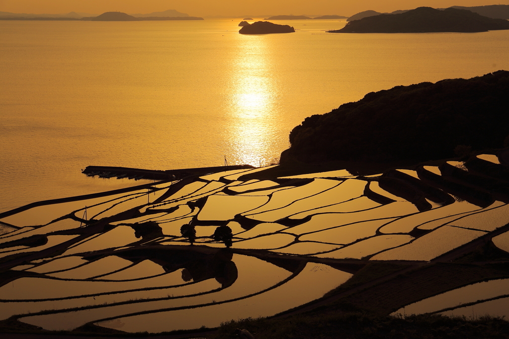 Sunset Puzzle