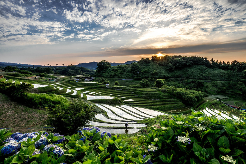 田園