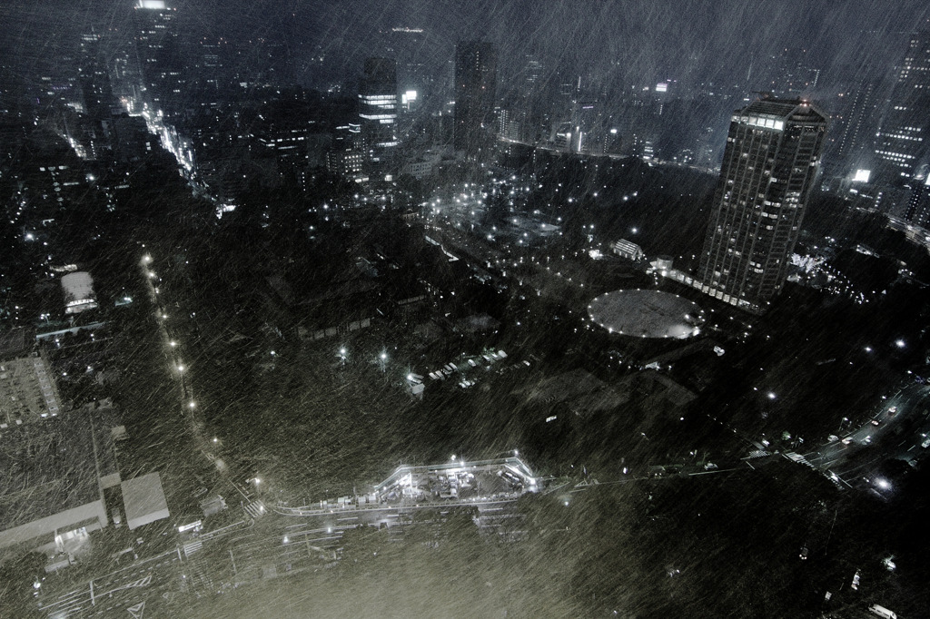 TOKYO Snowstorm