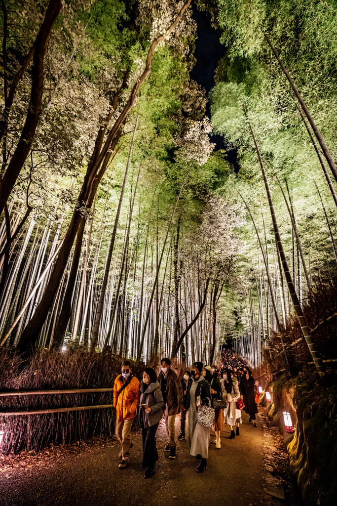 my歳時記 2021.12月