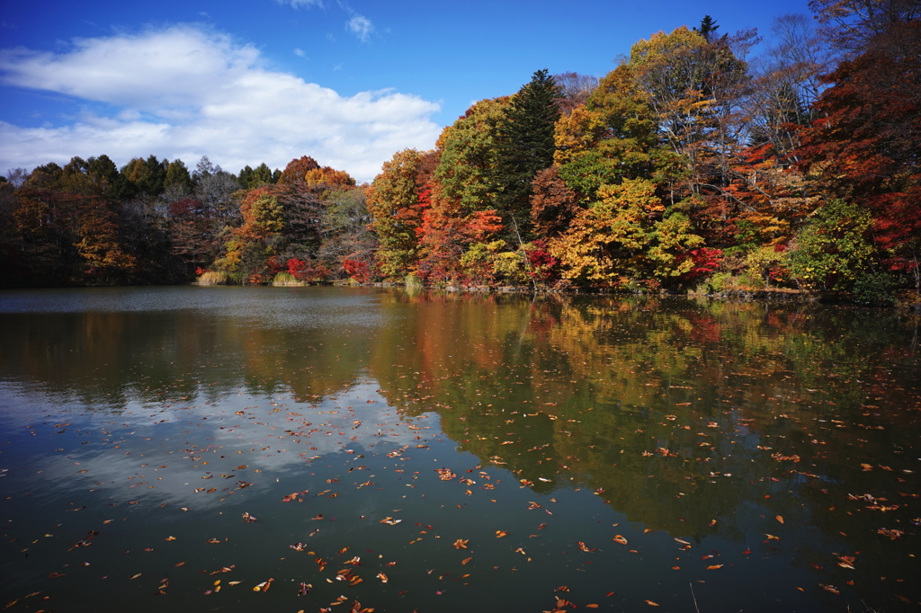 Autumn Lake