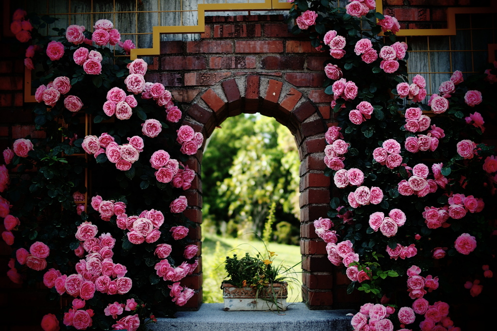 Da Vinci Garden