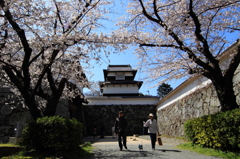 桜門の散歩道