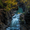 Autumn Flow