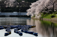 穏やかな朝
