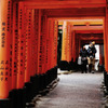 朱の参道