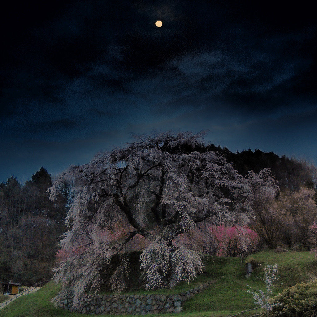 月夜の又兵衛