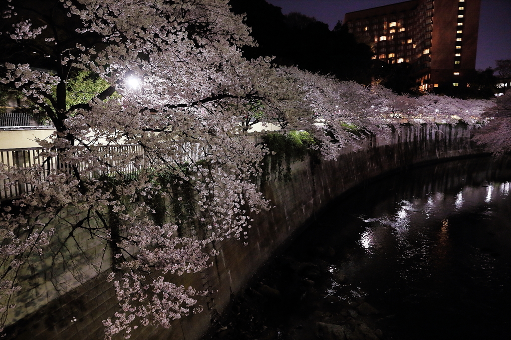 夜の彷徨