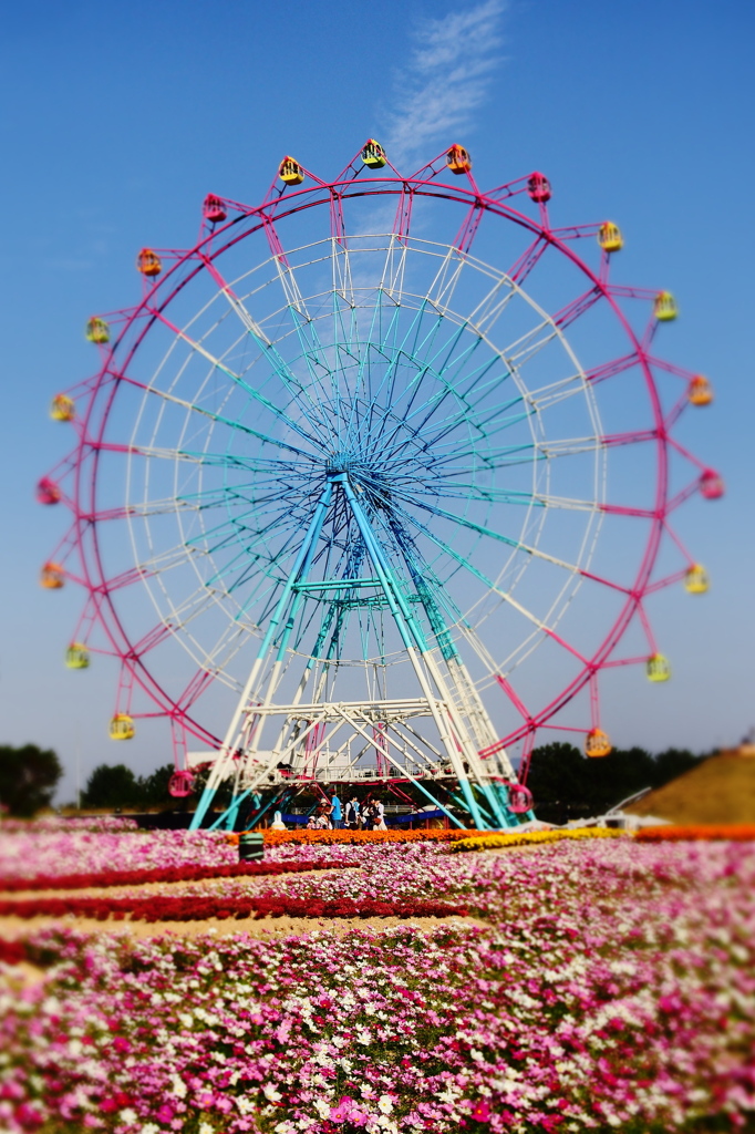 Big Flower