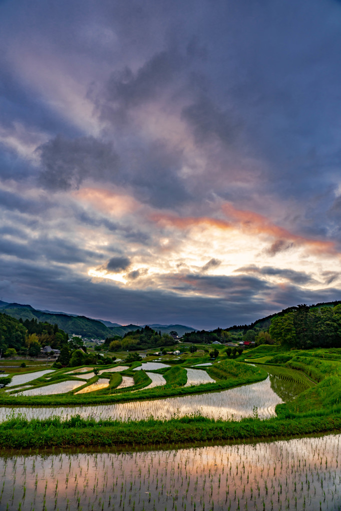 棚田の朝