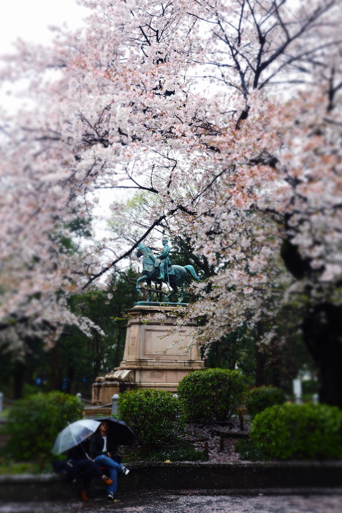 春雨