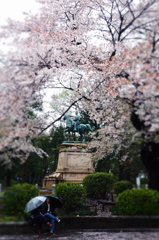 春雨