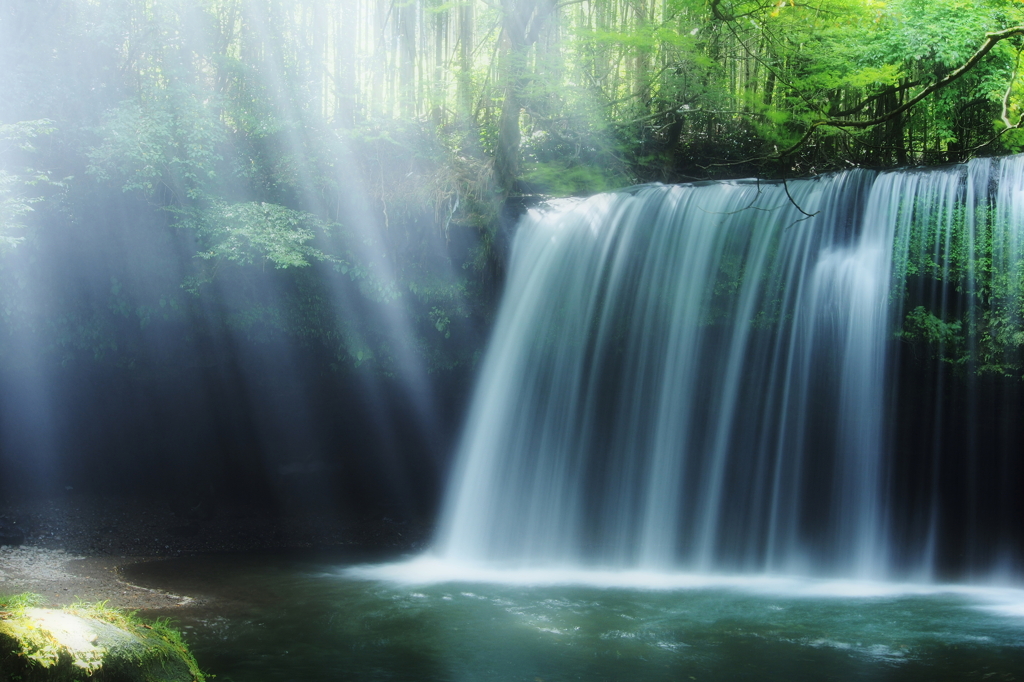 Natural Flow