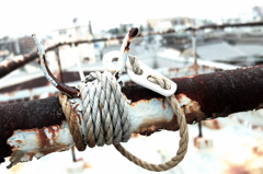 #03 Trussed up