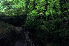 陰陽