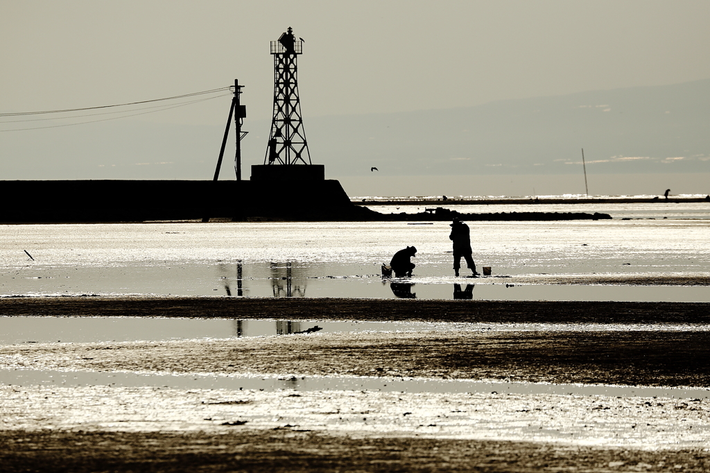 Low Tide