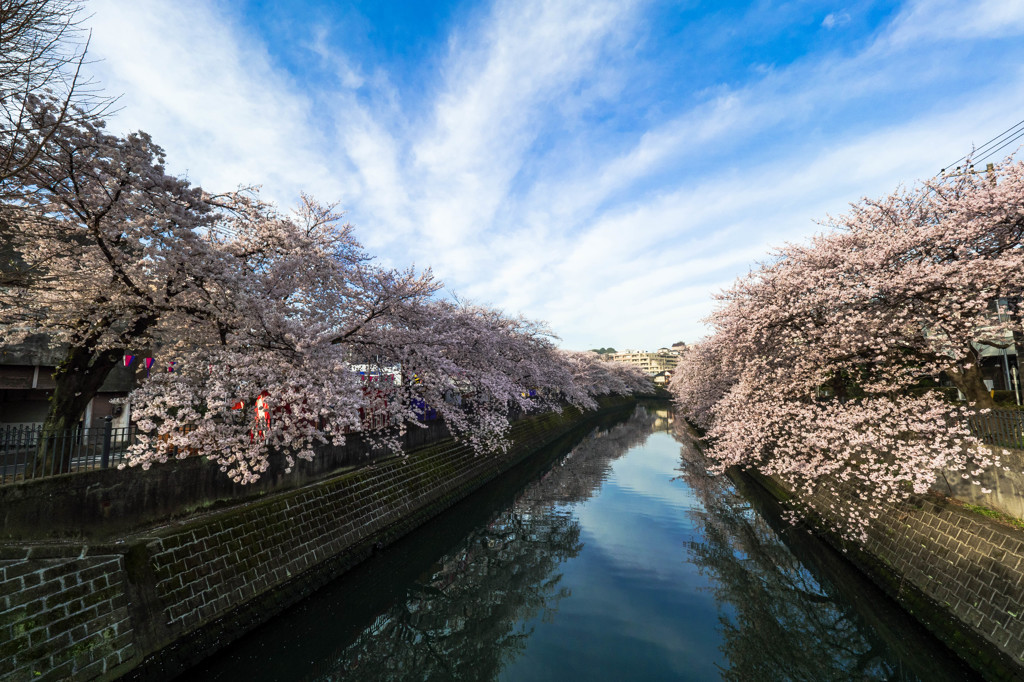 Riverside Spring