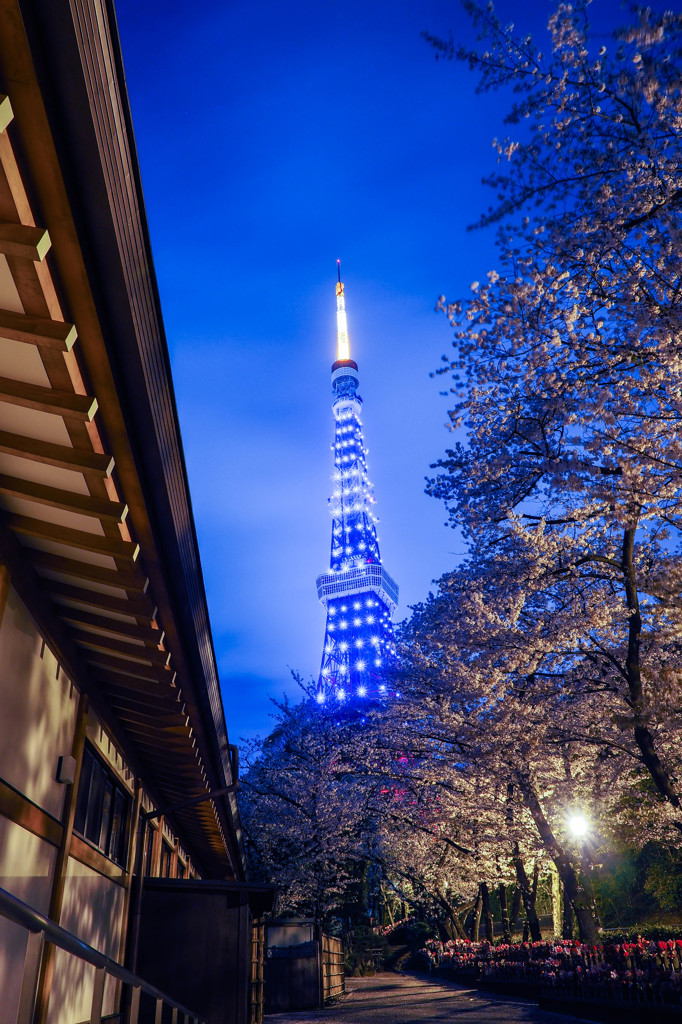 Blue Light Tower