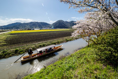 のどけき春