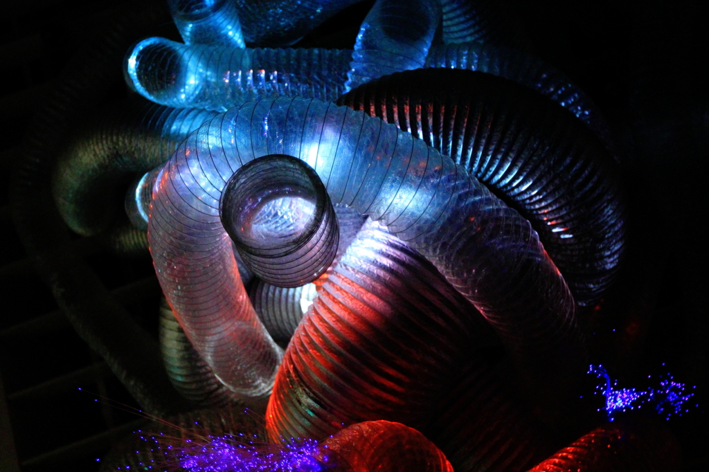Worm Hole