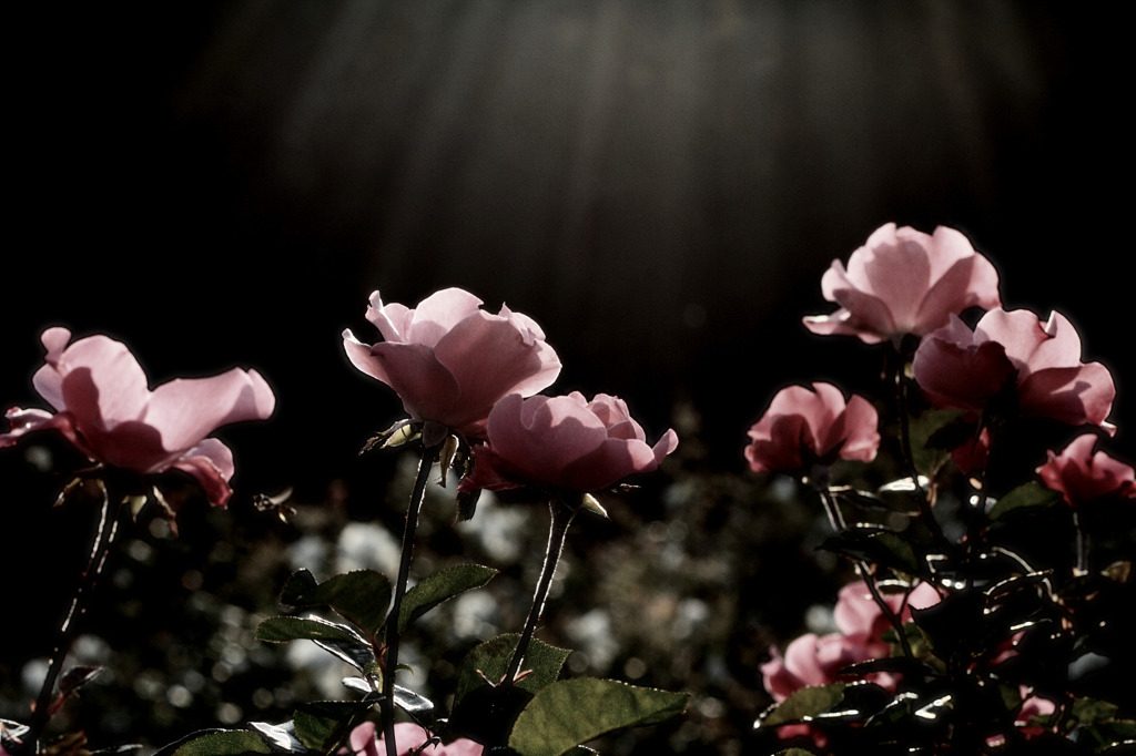 Amazing Grace