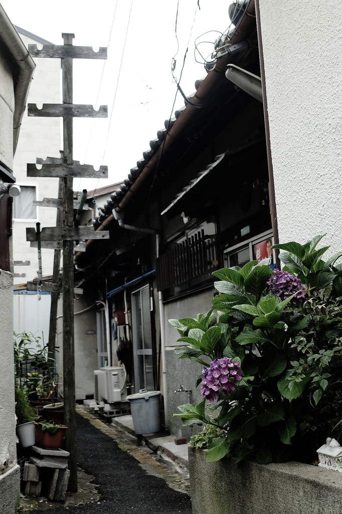 #08 End of the alley