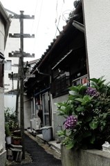 #08 End of the alley