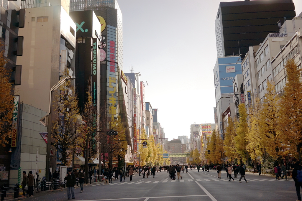 #12 Pedestrian mall