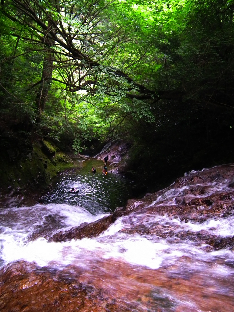 英彦山の滝