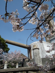 おじさんに平和な時　が続きますように